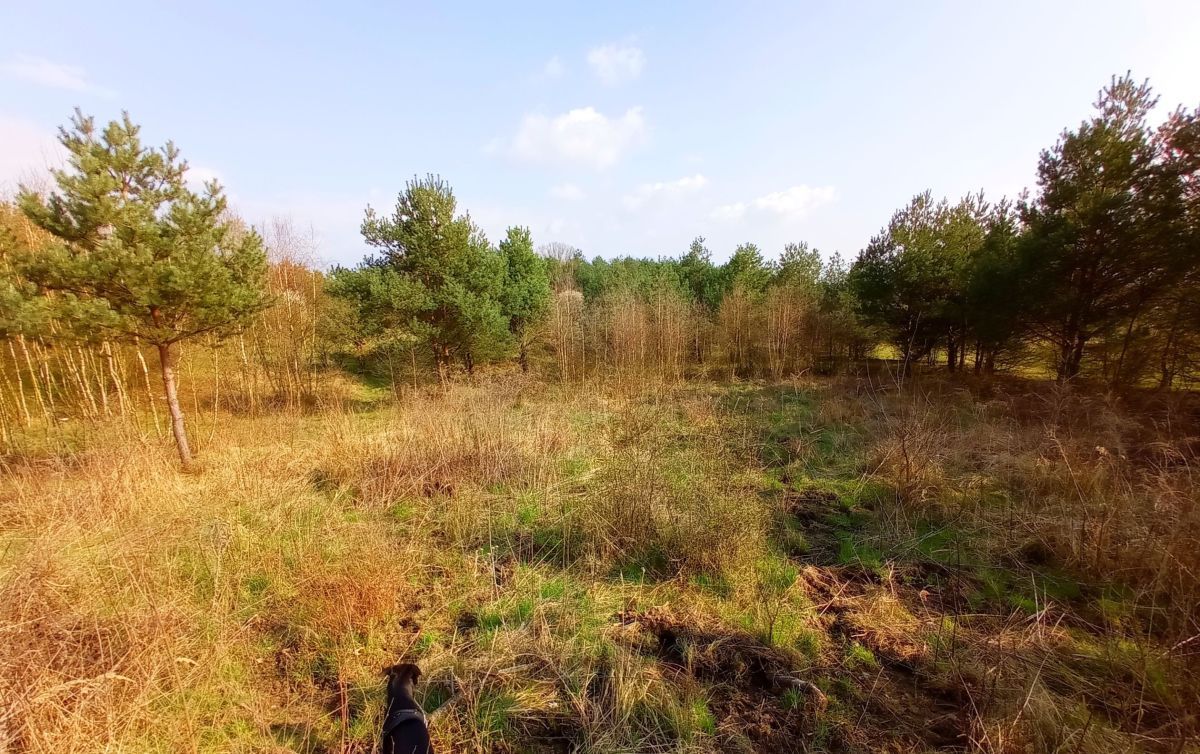 Działka budowlana Poznań Morasko, ul. Morenowa