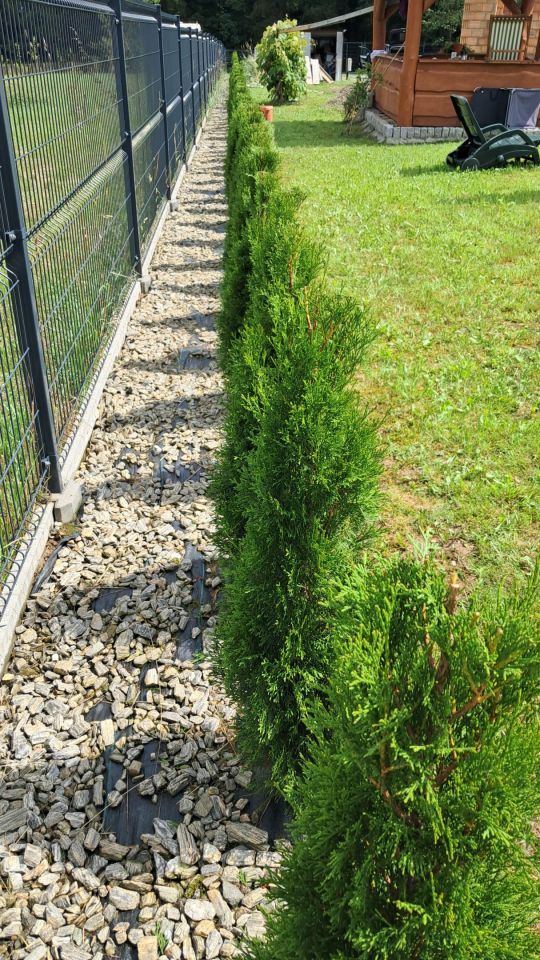 dom wolnostojący, 3 pokoje Chocieszów. Zdjęcie 28