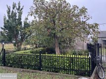 siedlisko Zalesie. Zdjęcie 2