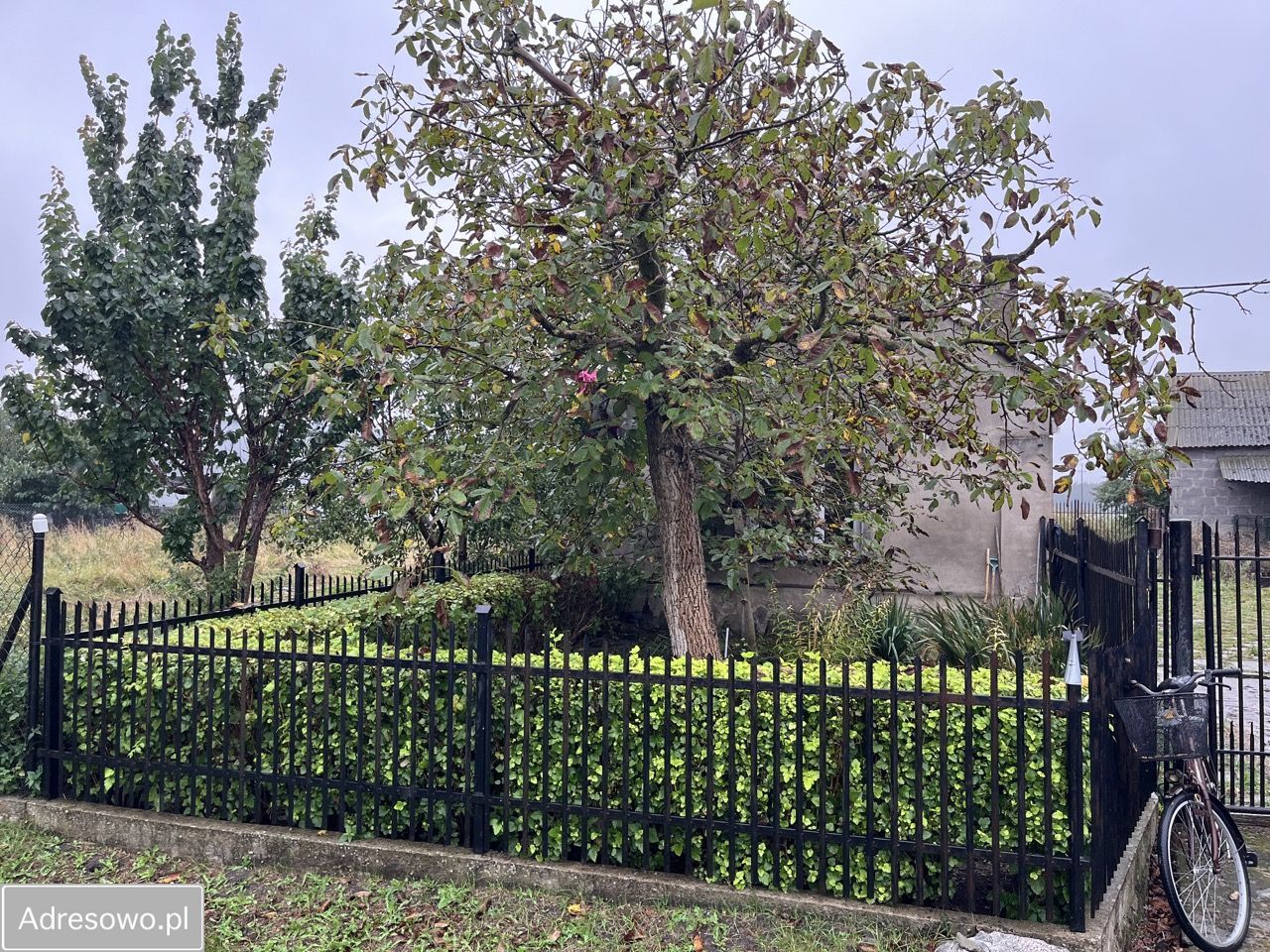 siedlisko Zalesie. Zdjęcie 3