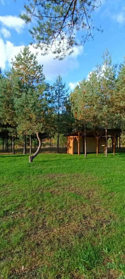 Działka budowlana Sucha Rzeczka. Zdjęcie 6