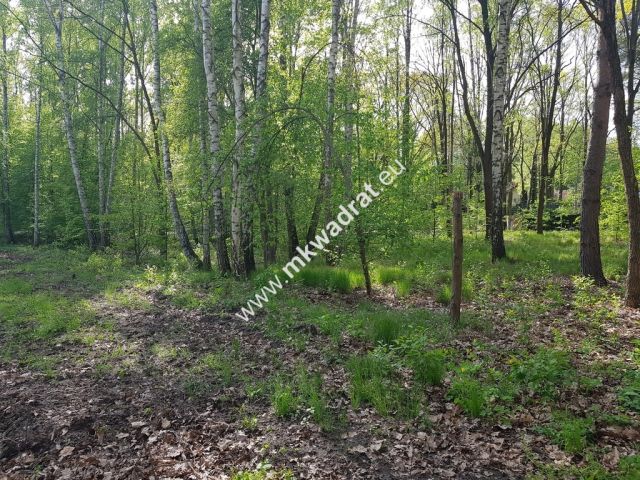 Działka rolna Stare Budy Radziejowskie. Zdjęcie 5