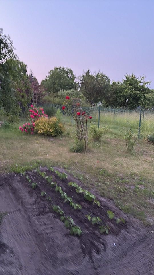 Działka rod Kępno. Zdjęcie 2