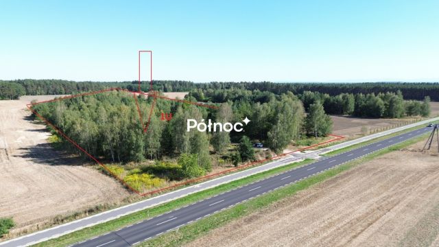 Działka inwestycyjna Dąbrowa Bolesławiecka. Zdjęcie 1