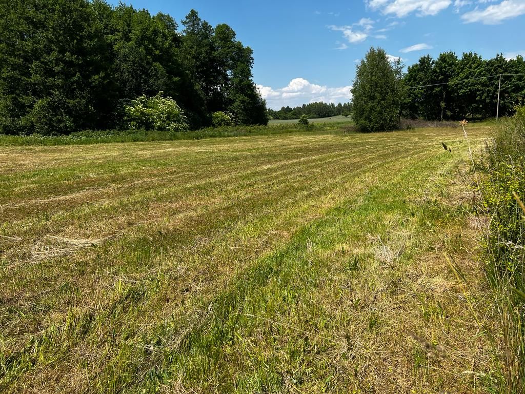 Działka rolna Podleńce. Zdjęcie 8
