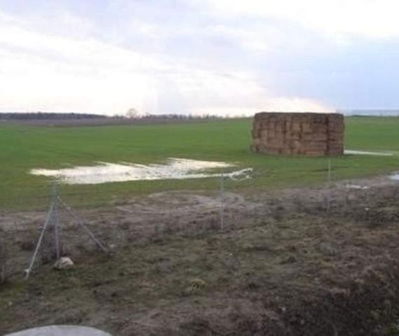 Działka inwestycyjna Żerniki, Jaryszki. Zdjęcie 4