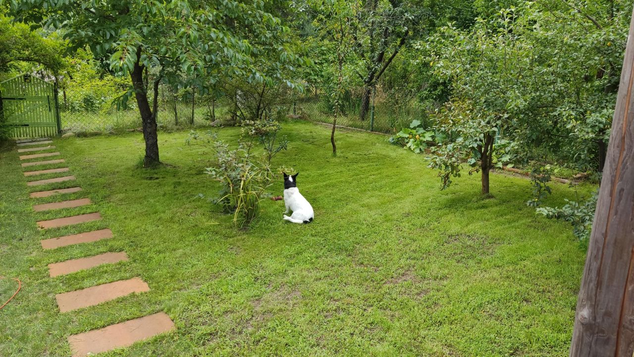 Działka rod Warszawa Wawer, ul. Trakt Lubelski. Zdjęcie 4