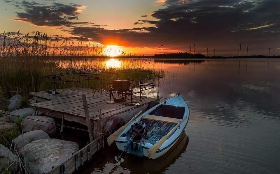 dom wolnostojący Dąbrowa. Zdjęcie 7