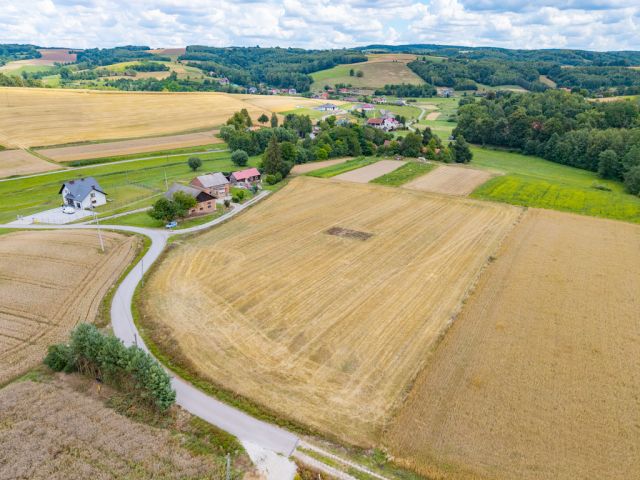 Działka budowlana Grodzisko. Zdjęcie 6