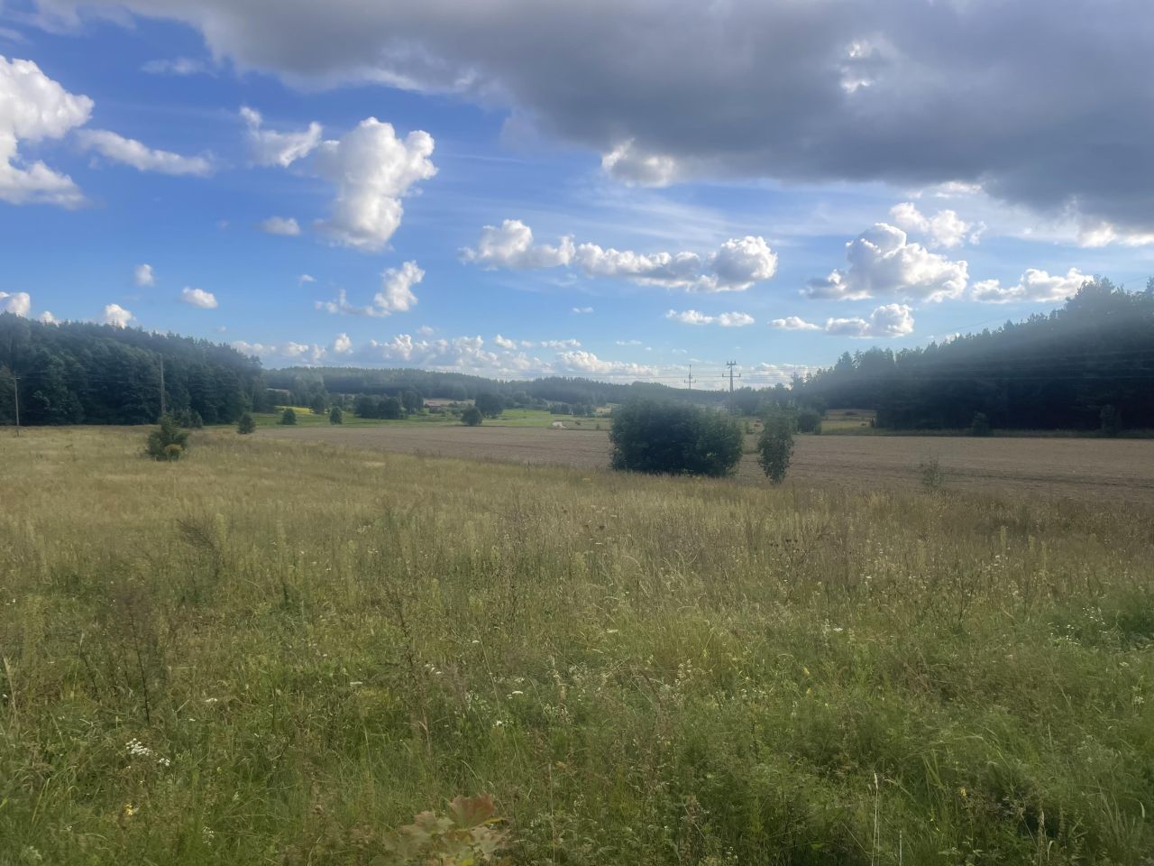 Działka rolno-budowlana Wysokie Laski, Wysokie laski. Zdjęcie 7