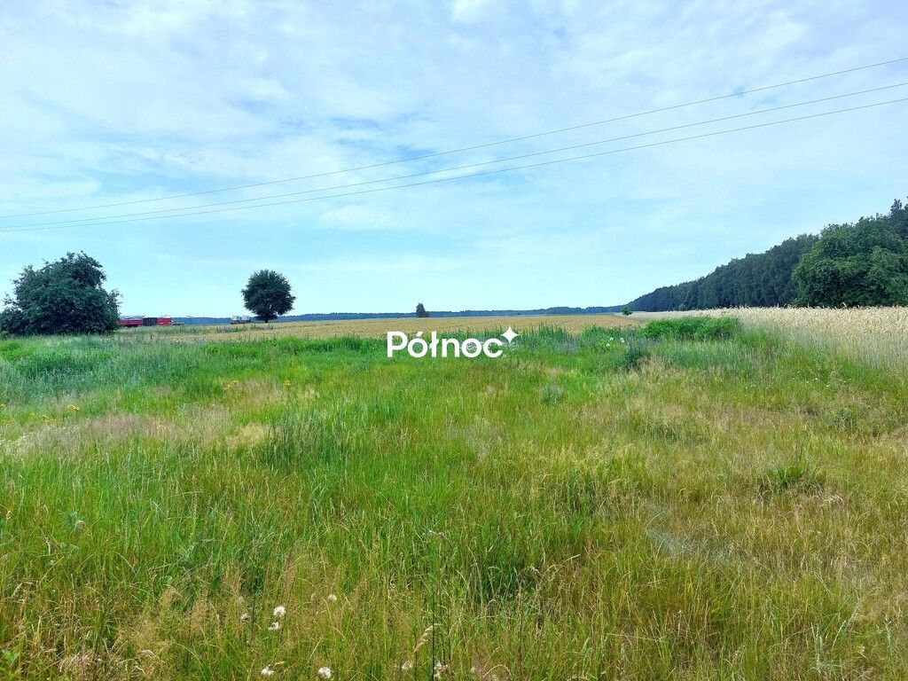 Działka Michałki. Zdjęcie 2