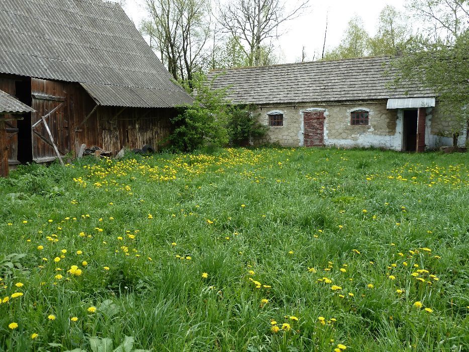 Działka rolno-budowlana Boduszów. Zdjęcie 2