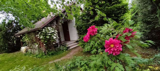 Działka rod Poznań Umultowo, ul. Miętowa. Zdjęcie 1