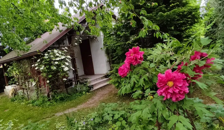 Działka rod Poznań Umultowo, ul. Miętowa