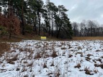 Działka rekreacyjna Bożepole Królewskie. Zdjęcie 1