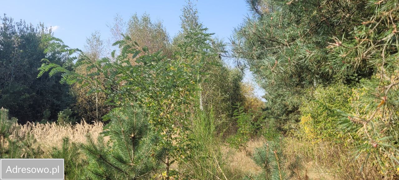 Działka budowlana Wierzchowisko, ul. Spadowa. Zdjęcie 2