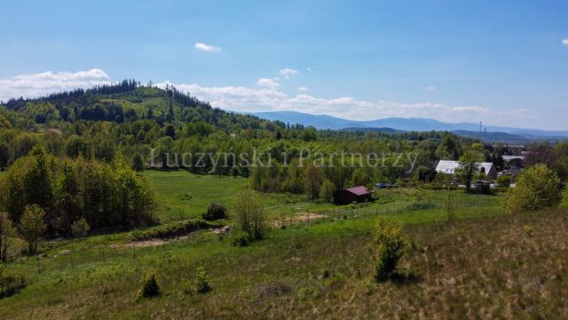 Działka inwestycyjna Karpniki. Zdjęcie 4