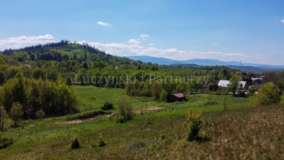 Działka inwestycyjna Karpniki. Zdjęcie 4