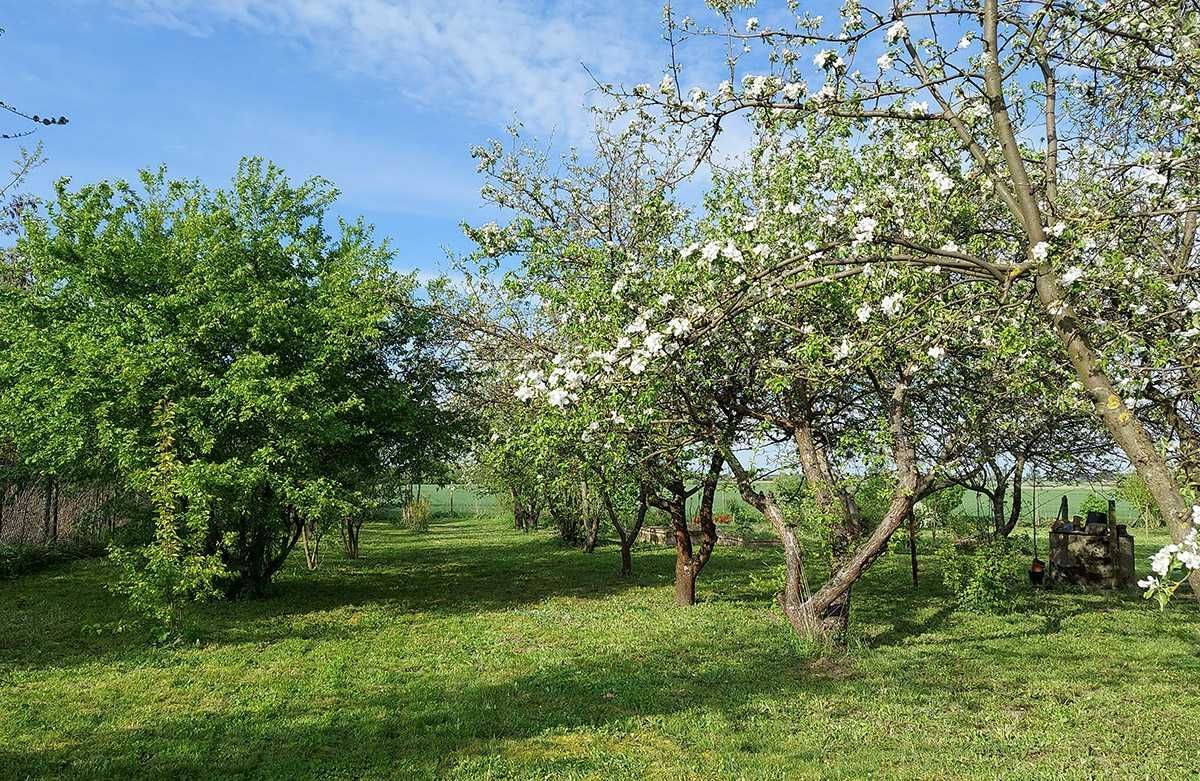 dom wolnostojący Śleszyn. Zdjęcie 2