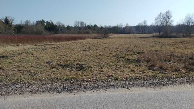 Działka inwestycyjna Chojnów. Zdjęcie 1