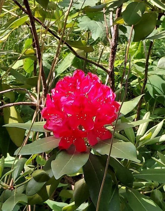 Mieszkanie 2-pokojowe Żyrardów Centrum, ul. Bolesława Limanowskiego. Zdjęcie 9