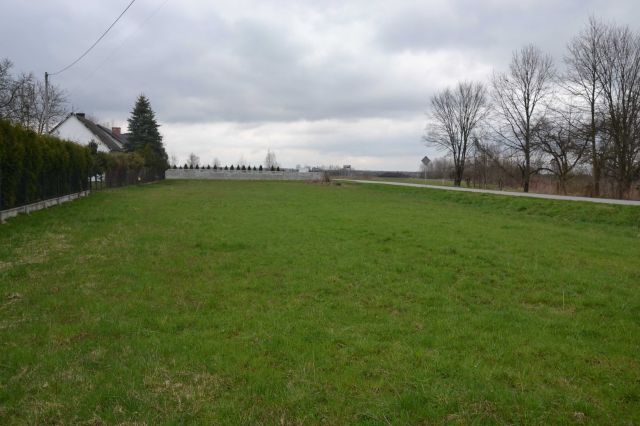 Działka budowlana Wólka Bielińska. Zdjęcie 1