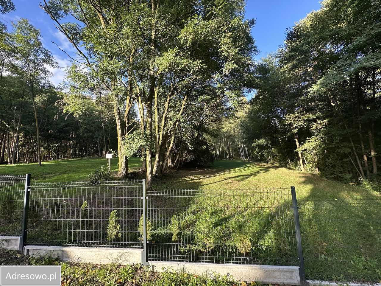 Działka budowlana Biedrzychowice Dolne. Zdjęcie 15