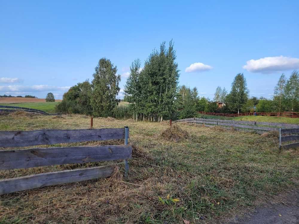 Działka rolno-budowlana Rajgród, ul. Ostejki. Zdjęcie 2