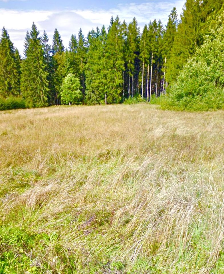Działka inwestycyjna Koniaków. Zdjęcie 2