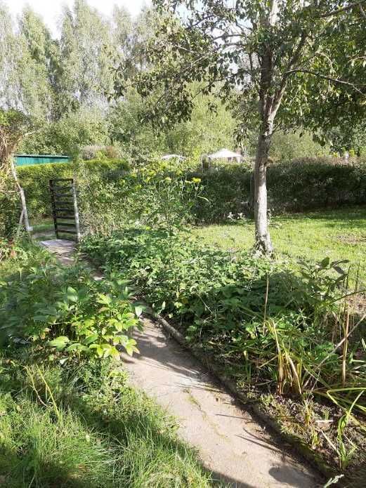 Działka rod Wójtowo. Zdjęcie 5