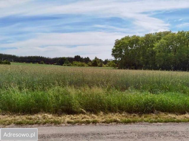 Działka budowlana Nowe Skoszewy. Zdjęcie 1
