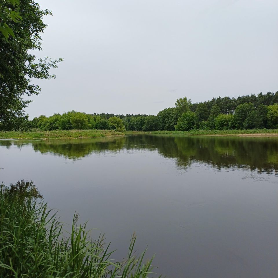 Działka rekreacyjna Ostrykół Dworski, ul. Letniskowa. Zdjęcie 7