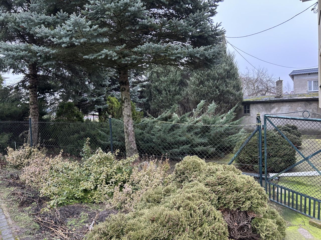 Działka rolno-budowlana Zębówiec. Zdjęcie 8