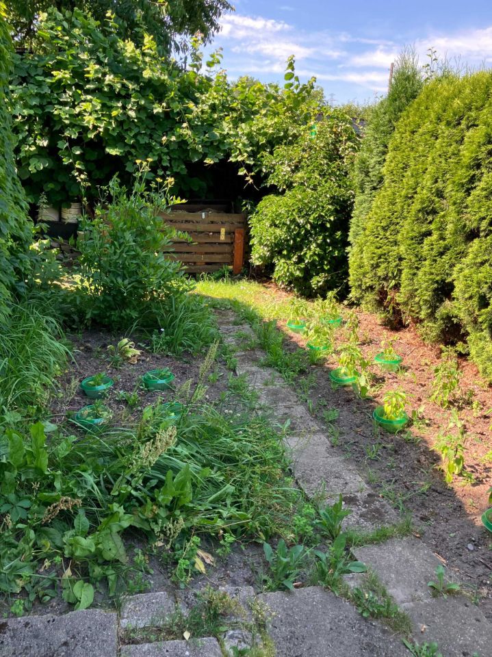 Działka rod Katowice Śródmieście. Zdjęcie 7