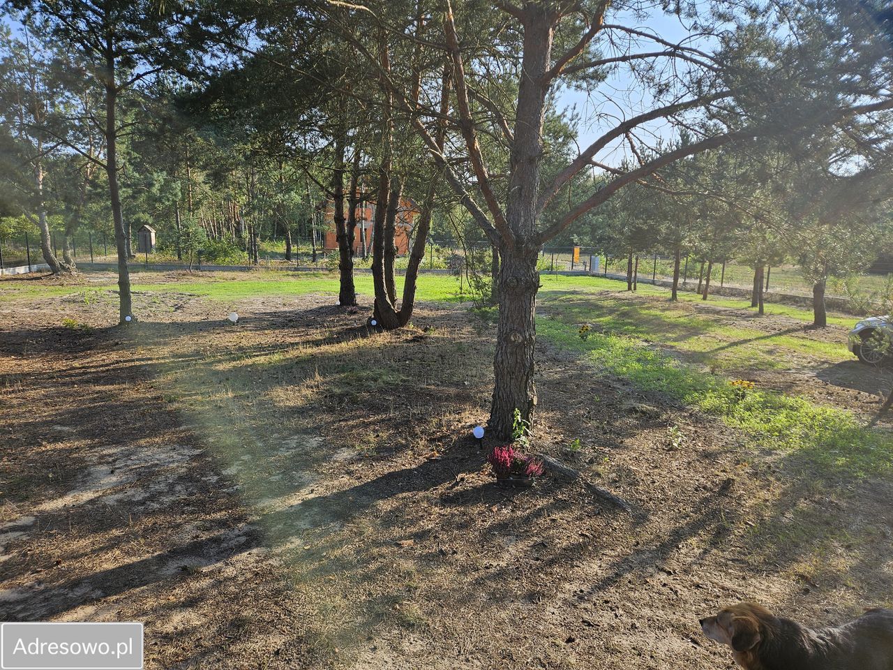 Działka budowlana Adampol, ul. Spacerowa. Zdjęcie 8