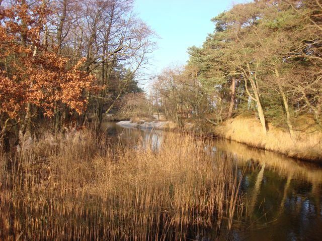 Działka rolna Dębki. Zdjęcie 7