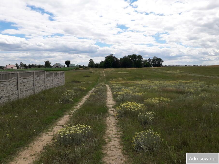 Działka budowlana Żakowo. Zdjęcie 2