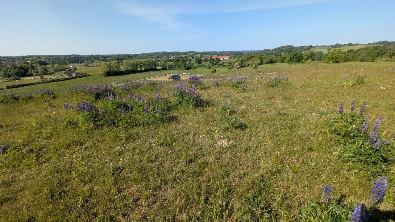 Działka rolno-budowlana Sikory. Zdjęcie 8