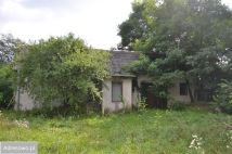 Działka inwestycyjna Adampol. Zdjęcie 2