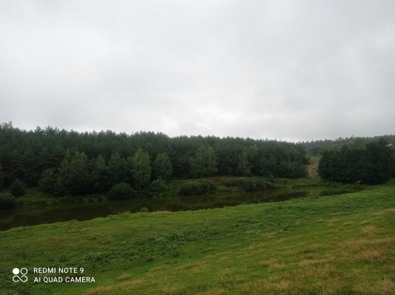 Działka rolno-budowlana Huta-Chojno. Zdjęcie 8