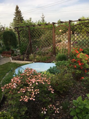 Działka rekreacyjna Szczecin Bukowo, ul. Władysława Nehringa. Zdjęcie 1