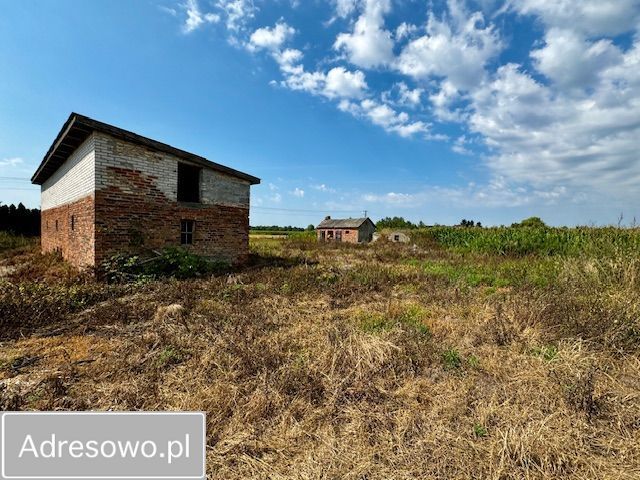 Działka rolno-budowlana Dzięglewo. Zdjęcie 3