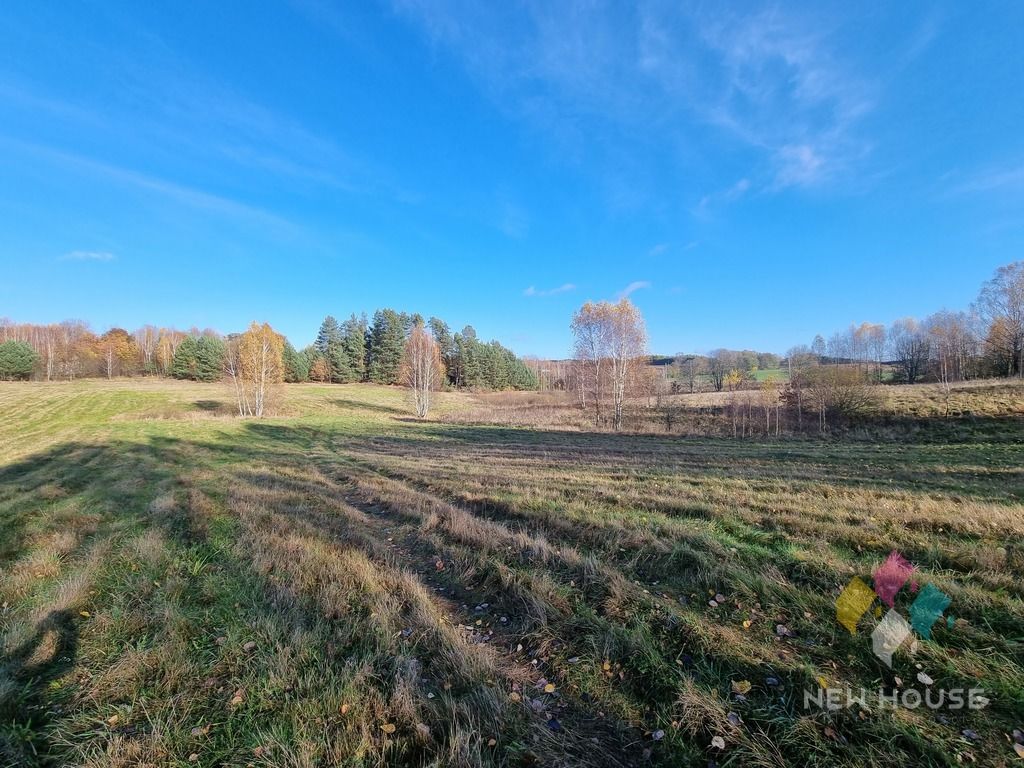 Działka rolna Stryjkowo. Zdjęcie 4
