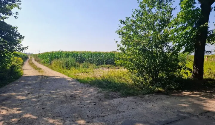 Działka budowlana Boguszyce