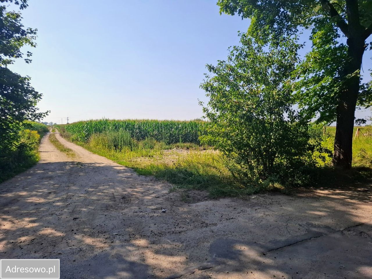 Działka budowlana Boguszyce