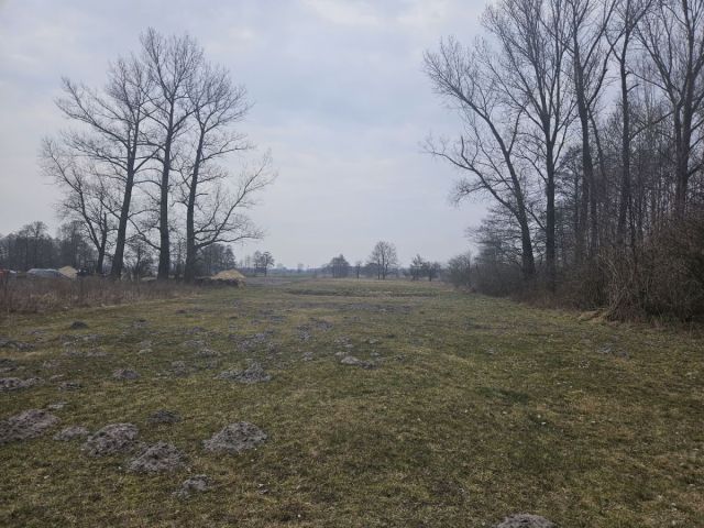 Działka rolno-budowlana Sanie. Zdjęcie 8