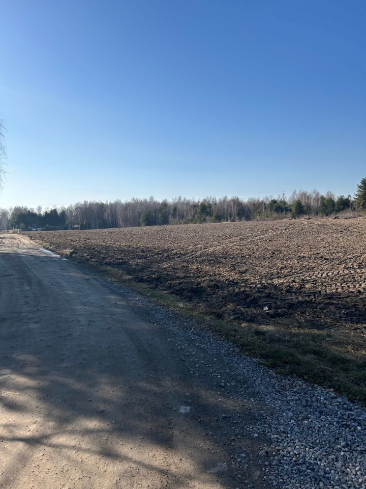 Działka leśna Orzechów-Kolonia. Zdjęcie 2