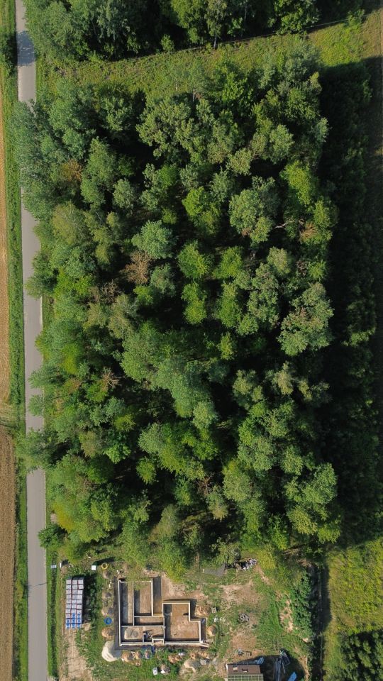Działka siedliskowa Osmolice Pierwsze. Zdjęcie 4