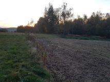 Działka budowlana Dąbrówka. Zdjęcie 3