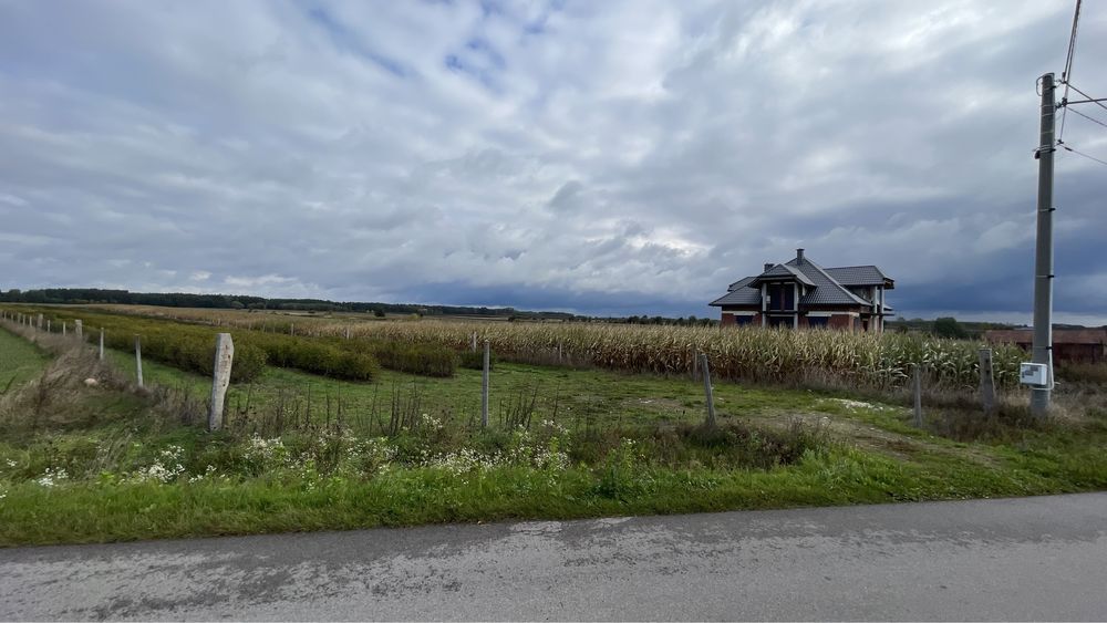 Działka rolna Jelonek. Zdjęcie 2